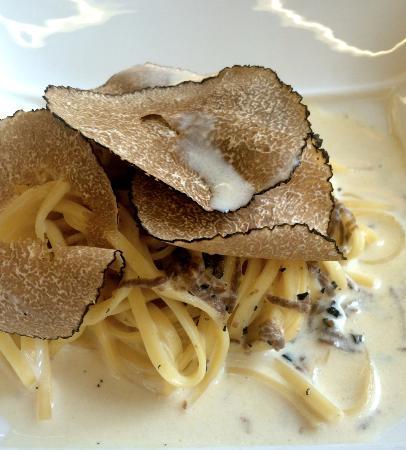Enopasta Bradi