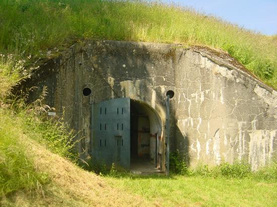 Fort d'Uxegney