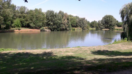 Parc a cigognes