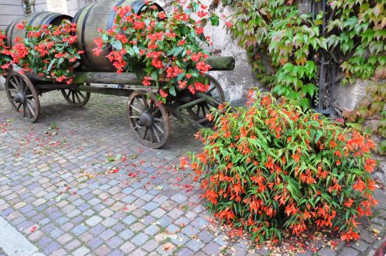 il Museo del Vigneto e dei Vini d'Alsazia