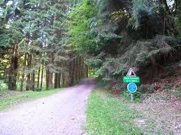 Cascade de la Serva