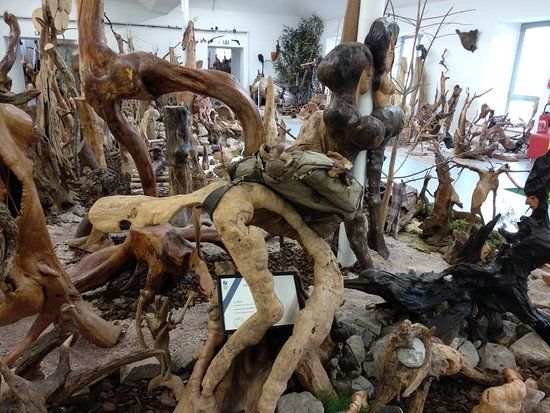 il Museo delle Mille e Una Radice