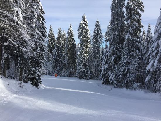 Le Grand-Haut