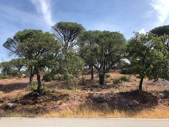 der Col du Bonhomme