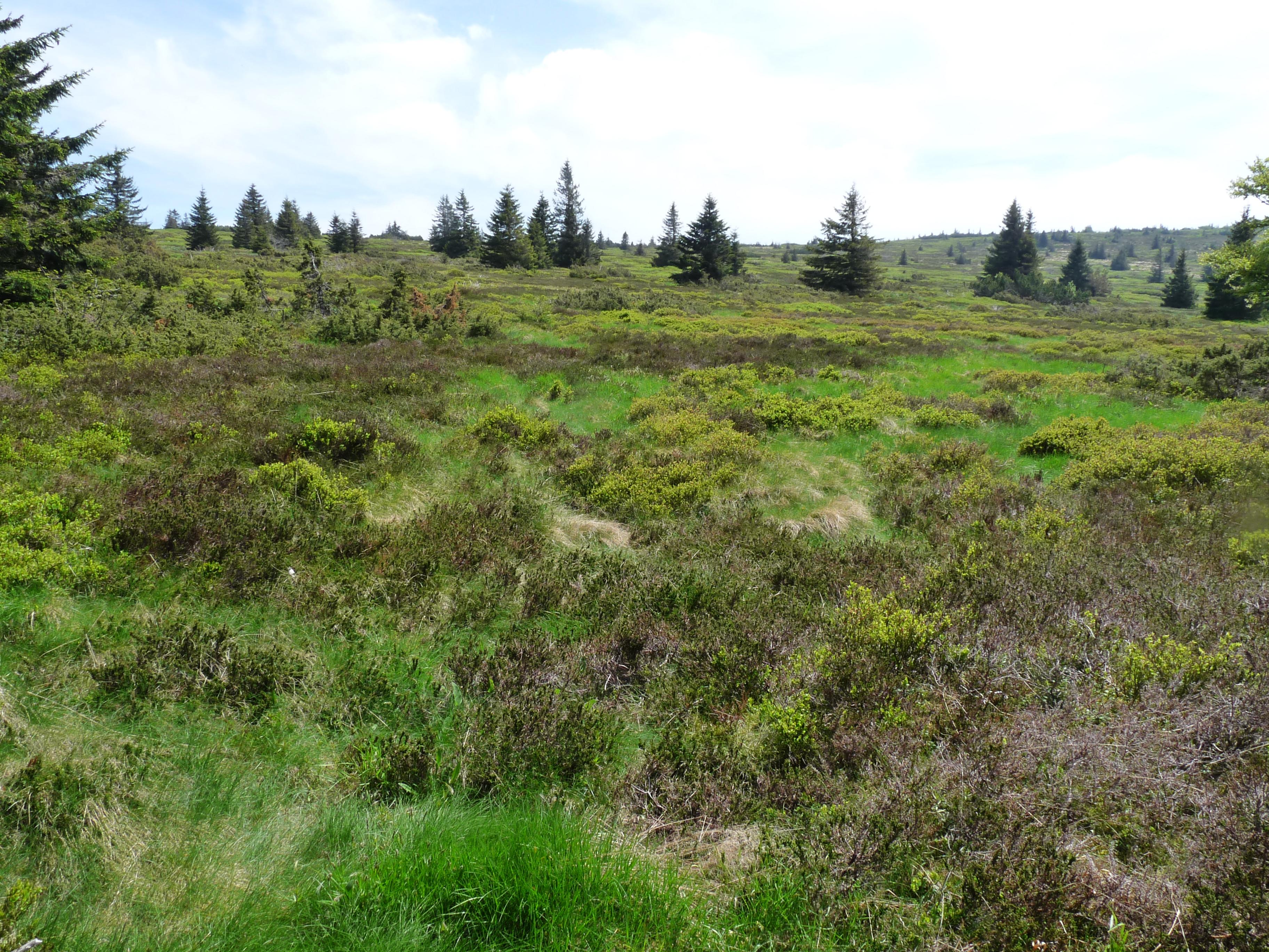 das Nationale Naturreservat Tanet-Gazon du Faing