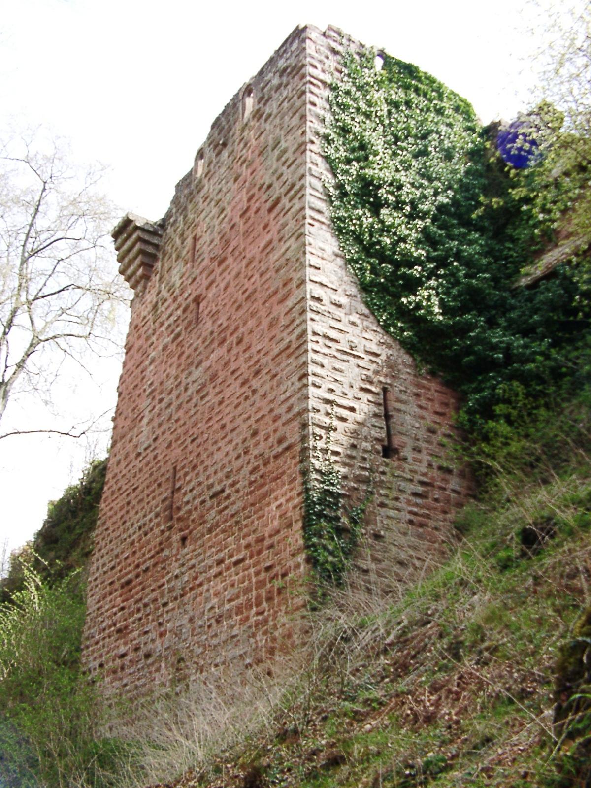 Burgruine Falkenstein
