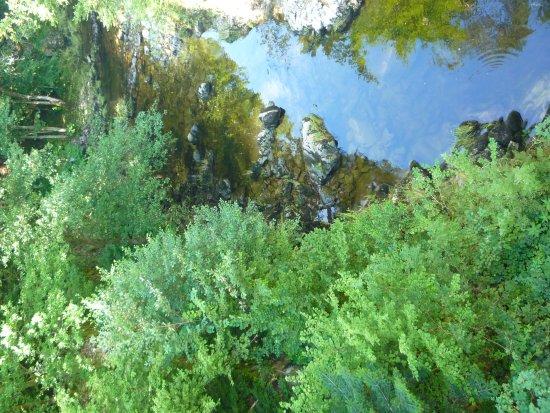 La voie Verte des Haute-Vosges