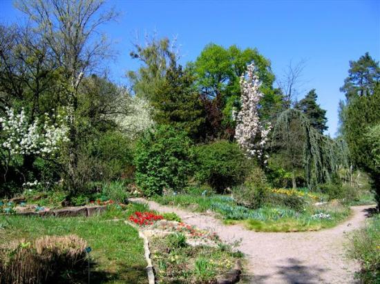 Jardin Botanique