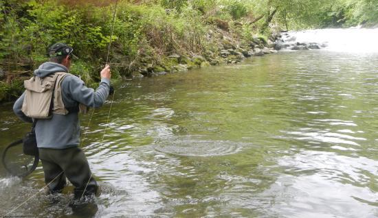Gilles Bastos Fly Fishing Guide