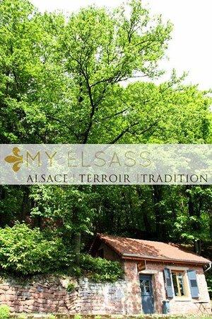 My Elsass