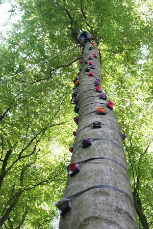 Cham'Vosges Aventures