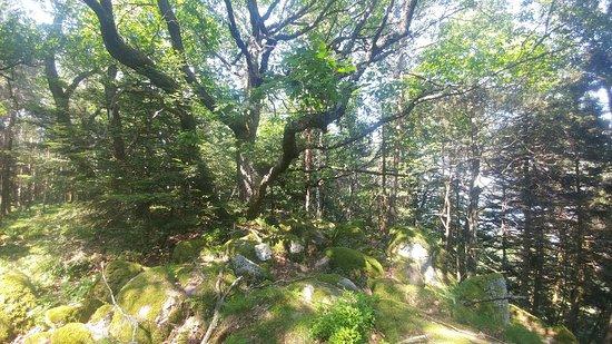 Sentier des Merveilles