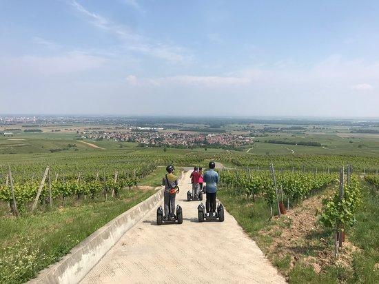 Segway Alsace