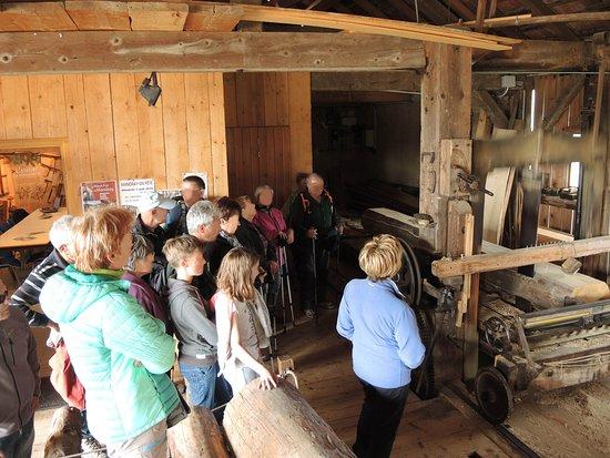 Scierie Hydraulique