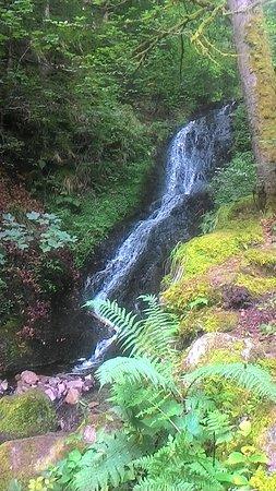 La Cascade du Cuisinier