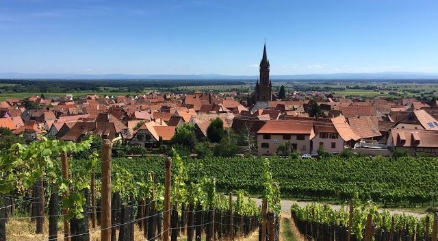 Les Vignobles Ruhlmann-Schutz