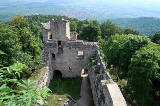 Chateau du Bernstein