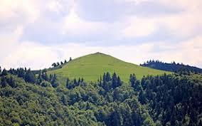 Drumont