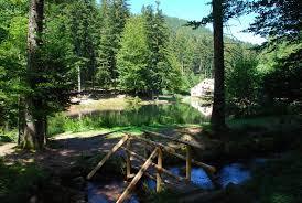 Etang du Coucou