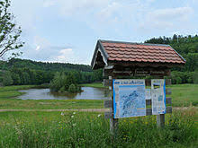 le col de Steige