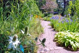 du col de Saverne Botanical Garden