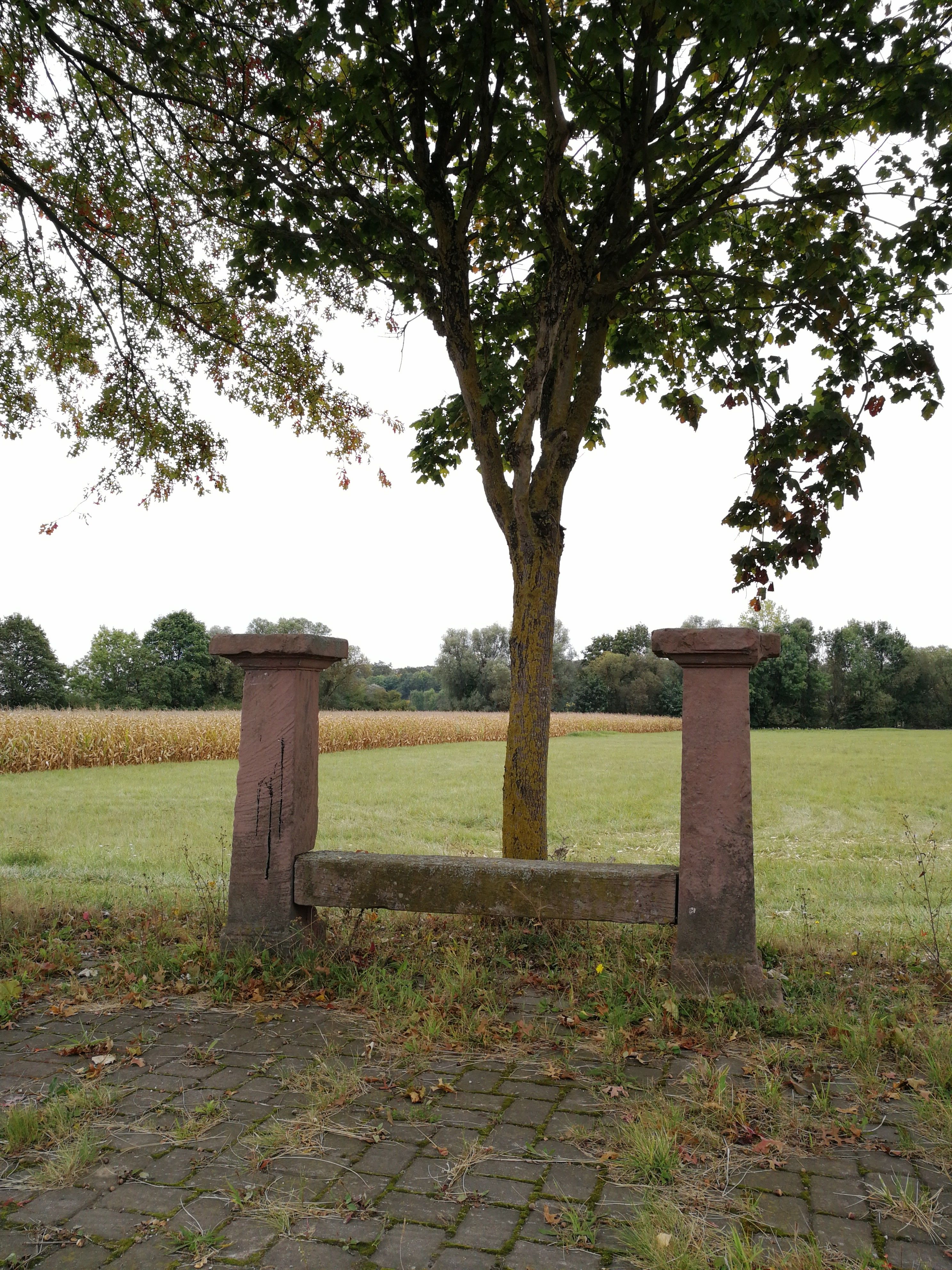 banc-reposoir de Sélestat