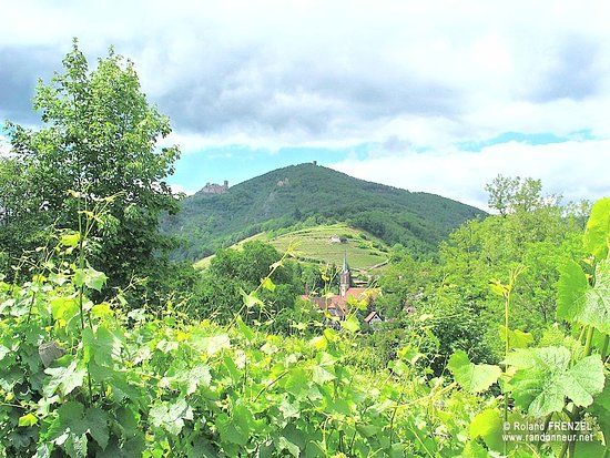 il Castello di Haut-Ribeaupierre